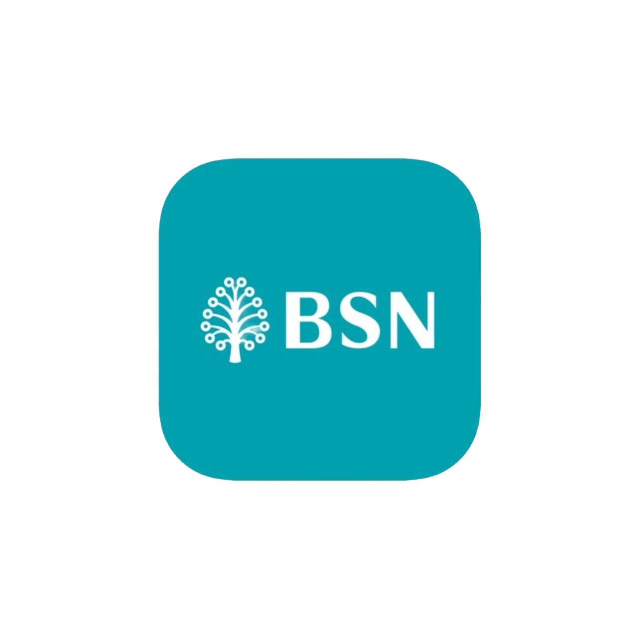 BSN
